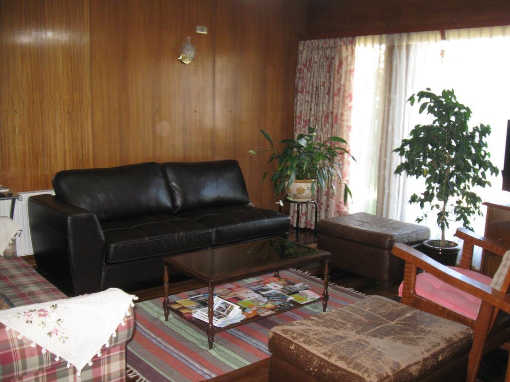 Hostal Entre Araucarias テムコ エクステリア 写真