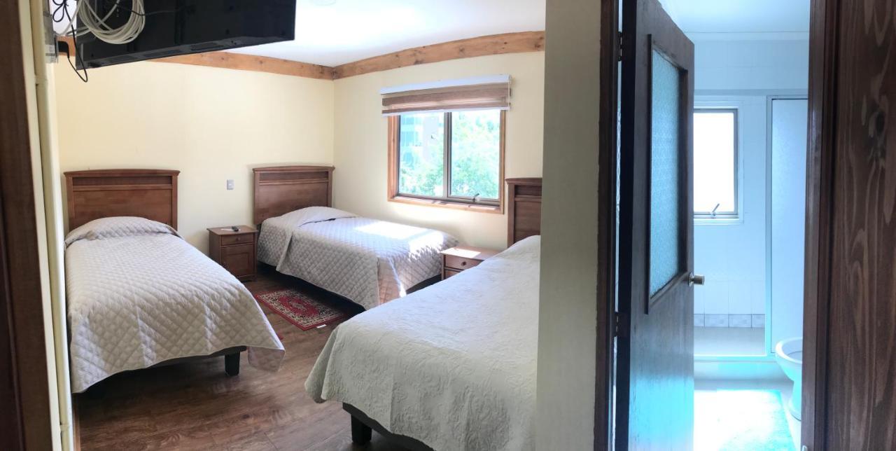 Hostal Entre Araucarias テムコ エクステリア 写真